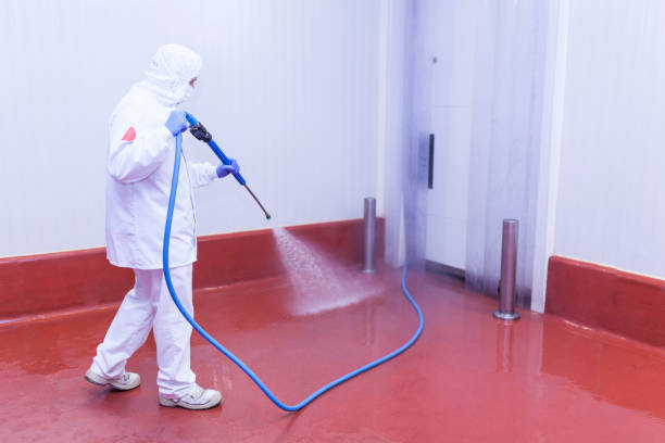 Best Playground Equipment Cleaning  in Forest City, FL