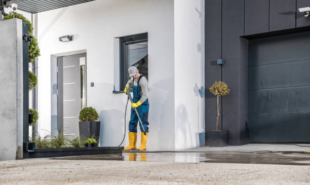 Best House Exterior Washing  in Forest City, FL